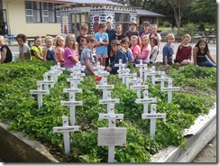 Crosses honouring local ANZAC casualties